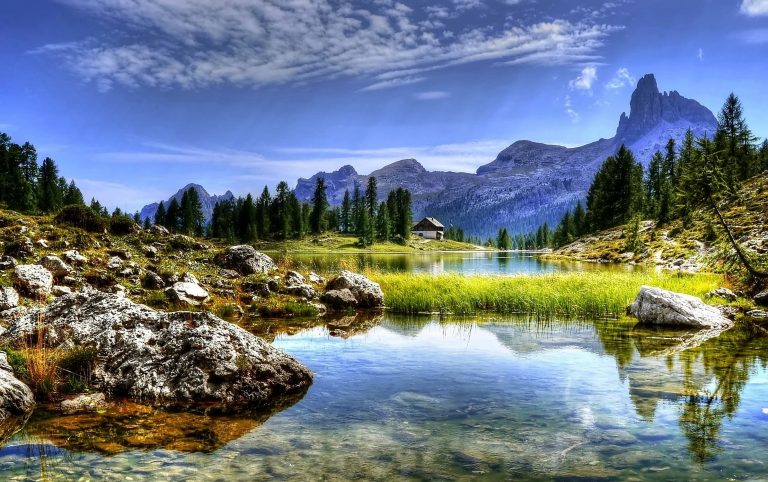 Our Responsibility to Look after the Earth