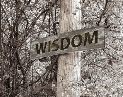how do we acquire wisdom