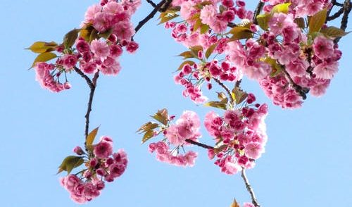 silencing women is not the prophetic way