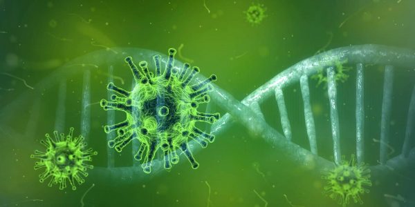 Should the deceased from the coronavirus have ghusl or tayammum?