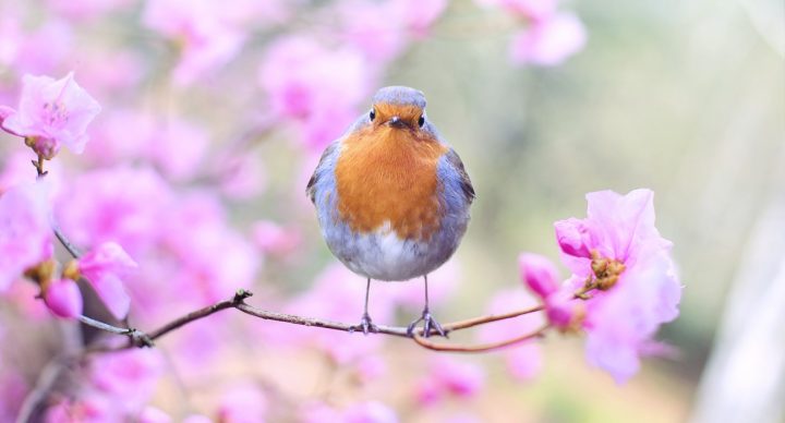 Spring clean your life - Part II