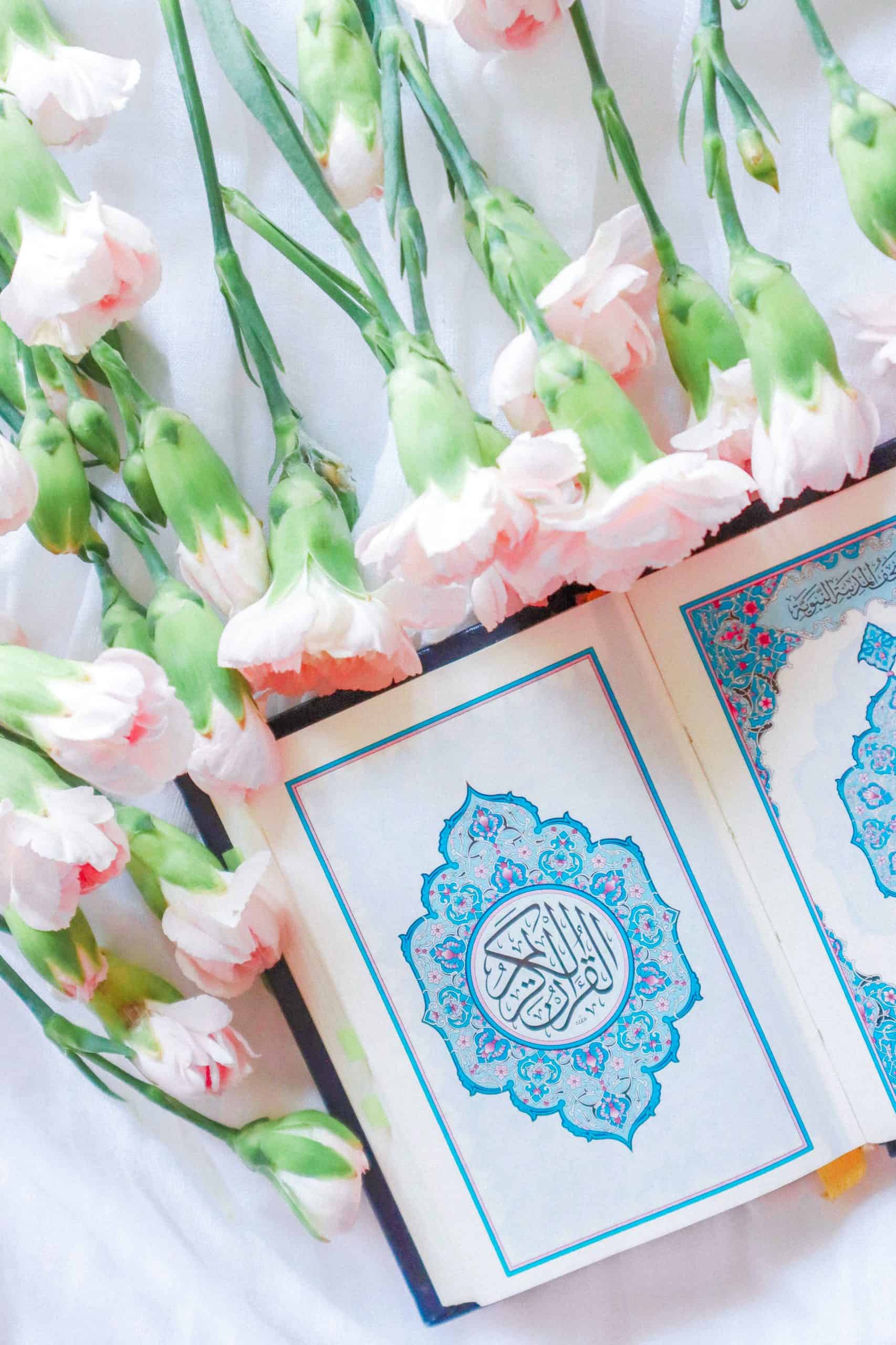 which surahs should i recite daily?