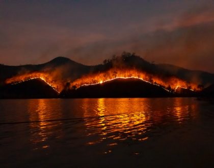 Heatwaves, wildfires and how to protect yourself from The Fire