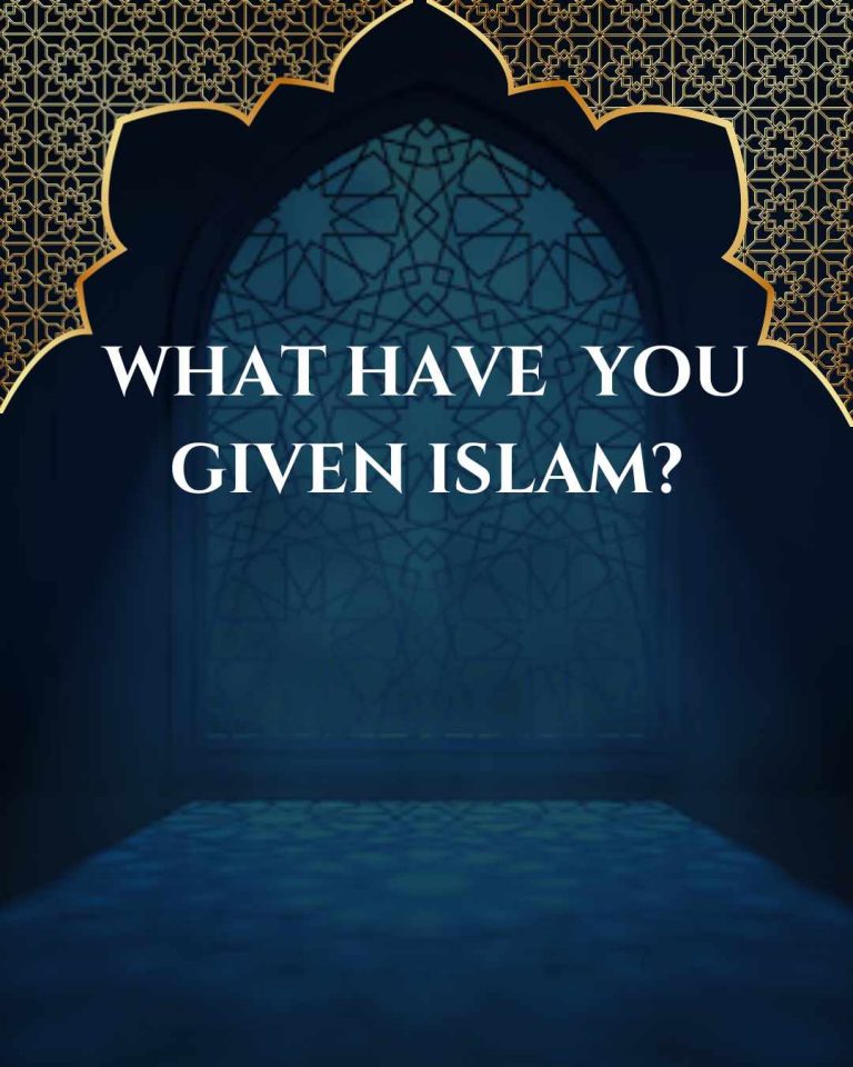 What have you given Islam?